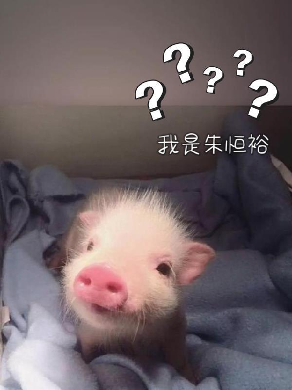 我是朱恒裕 我是朱恒裕